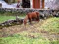 somiedo apartamentos,turismo rural,villar de vildas,casas de aldea,pornalcal,somiedo,casa rural,rurales,dormir villar de vildas, la pornalcal,vacaciones,ofertas,alojamientos rurales,hotel,hoteles,apartamento,somiedo,villar de vildas,la pornalcal,
